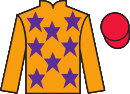 Jockey silks for Raysagold (IRE)