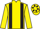Jockey silks for Stone Bear (IRE)