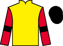 Jockey silks for Arcimboldo
