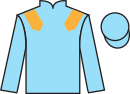 Jockey silks for Flying Fletcher
