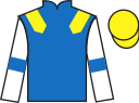 Jockey silks for Bowood