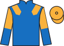 Jockey silks for Believe In Lies (IRE)