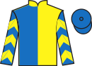 Jockey silks for Sam's Hope