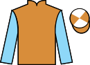Jockey silks for Galette