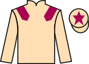Jockey silks for Marianne Mozart (IRE)