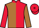 Jockey silks for Alligator Alley