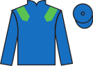 jockey silks
