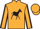 Jockey silks for Jacovec Cavern