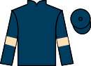 Jockey silks for Safe Idea