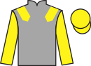 Jockey silks for Haveagobeau