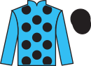 Jockey silks for On The Go