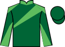 jockey silks