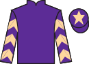 jockey silks