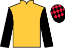 jockey silks