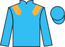 Jockey silks for Lexington Jet (IRE)