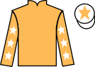 Jockey silks for United Force (IRE)