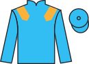 Jockey silks for Siobhanbrogan (IRE)