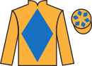 Jockey silks for Nelson Muntz (IRE)