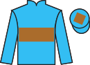 Jockey silks for Soldierstown (IRE)