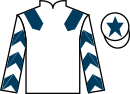 Jockey silks for Drumlee Orders (IRE)