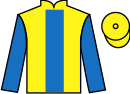 Jockey silks for Pyleigh Court