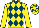 Jockey silks for Who's Glen (FR)