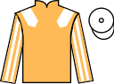Jockey silks for Port Station (IRE)