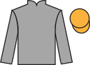 Jockey silks for Donna's Double