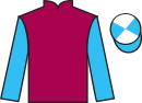 Jockey silks for Scaredofnothing (IRE)