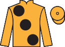 jockey silks