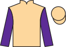jockey silks