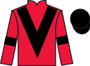 jockey silks