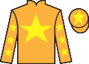 jockey silks