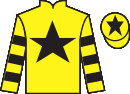 Jockey silks for Tzarmix (FR)