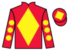 Jockey silks for Hudson (FR)