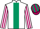 Jockey silks for Lion's House