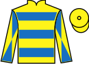 Jockey silks for Storm Catcher (IRE)