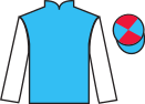 Jockey silks for Mr Baloo (IRE)