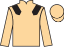 jockey silks