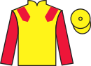 jockey silks