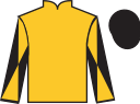 jockey silks