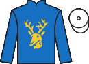 jockey silks