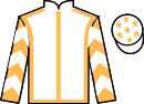 jockey silks