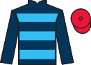 jockey silks