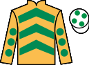 jockey silks