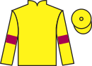 jockey silks