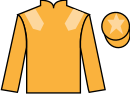 Jockey silks for Metier (IRE)