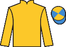 Jockey silks for Imperial Saint (FR)