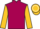 Jockey silks for Factual (IRE)