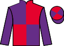 Jockey silks for Herculaneum (IRE)